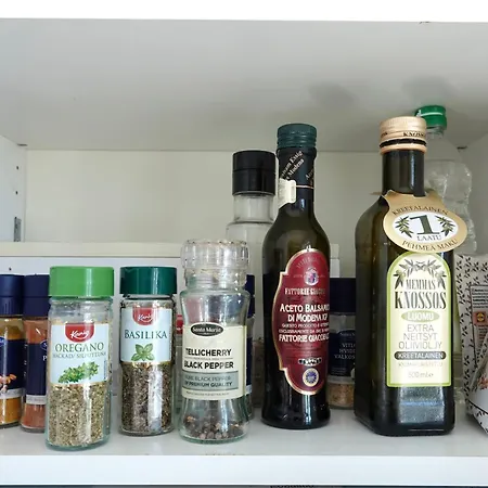 公寓 Charming 坦佩雷